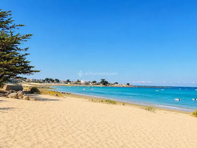 Château vente à Les Sables-d'Olonne, Noirmoutier-en-l'ile