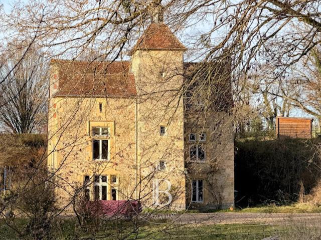 Château vente à Nevers, Beaumont-sardolles