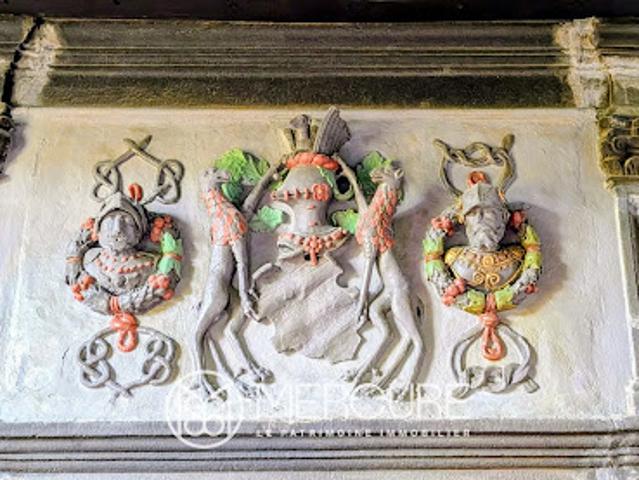 Château vente à Mayenne, Gesnes