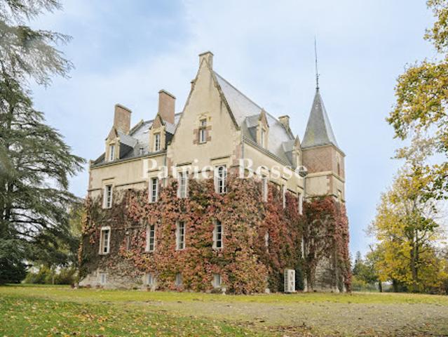Château vente à Moulins