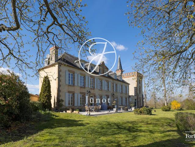 Château vente à Moulins