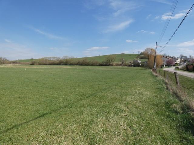 Terrain vente à Lunéville, Manonviller