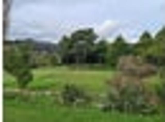 House for rent in Days Bay, Wellington