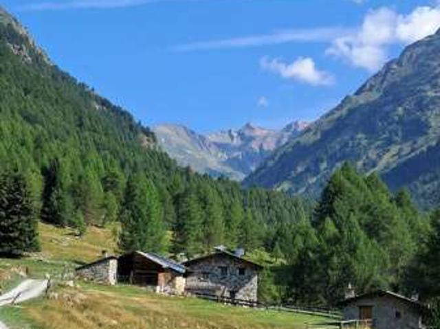 Appartamento in affitto a Comunità montana della valle Camonica, Vezza D'oglio
