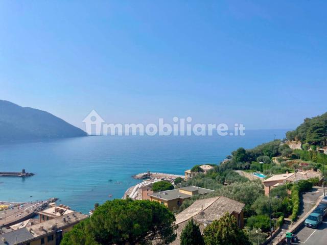 Villa Indipendente in affitto a Polanesi, Recco