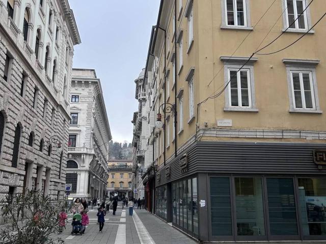 Attico in vendita a Città Nuova-Barriera Nuova-San Vito-Città Vecchia, Villa Opicina