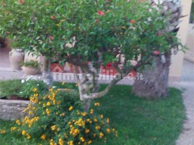 Villa Indipendente in affitto a Casabianca, Marsala