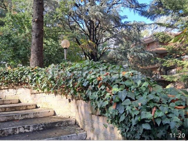 Villa Indipendente in affitto a Municipio Roma XV, Roma Capitale
