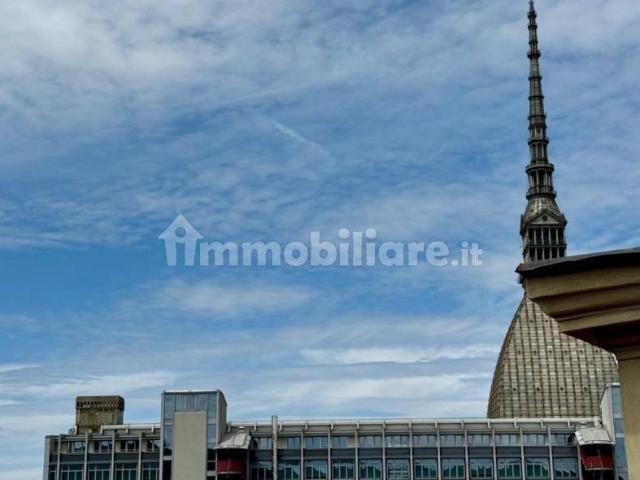 Villa Indipendente in affitto a Circoscrizione 7, Piemonte