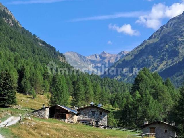 Villa Indipendente in affitto a Comunità montana della valle Camonica, Vezza D'oglio