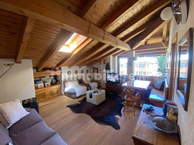 Villa Indipendente in affitto a Comunità delle Giudicarie, Pinzolo