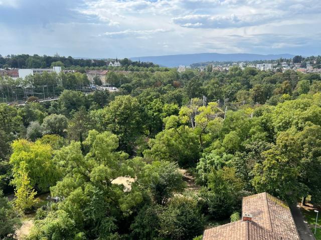 Attikawohnung kaufen in Basel, Basel-Stadt