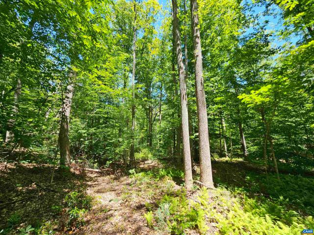 Land for sale in Virginia