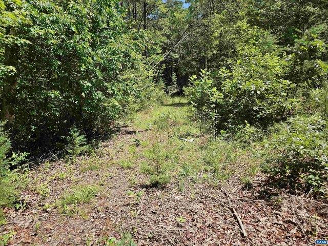 Land for sale in Virginia