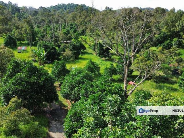 Shop for sale in Mantin, Negeri Sembilan