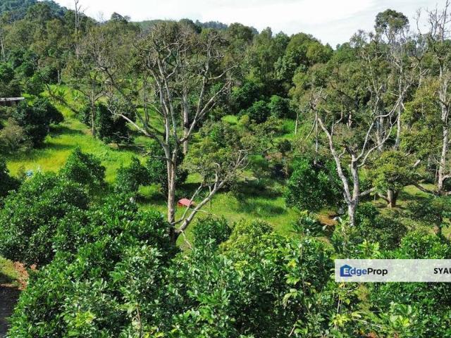 Shop for sale in Mantin, Negeri Sembilan