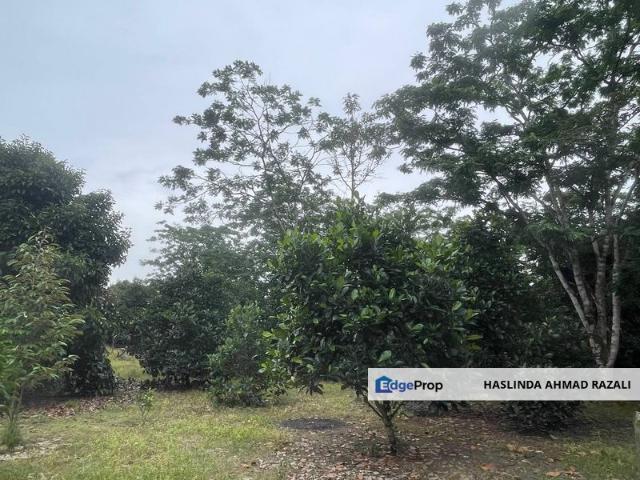 Shop for sale in Mantin, Negeri Sembilan