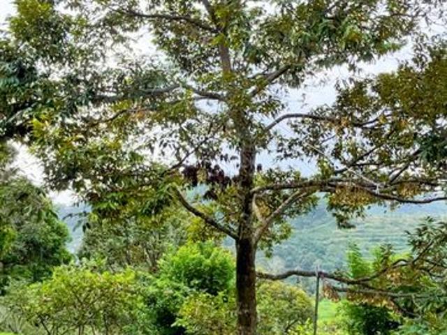 House for sale in Mantin, Negeri Sembilan