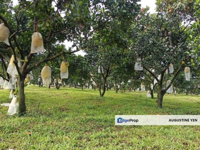 Warehouse for sale in Mantin, Negeri Sembilan