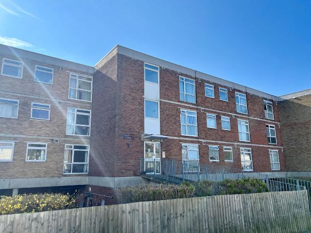 Studio for rent in St Anthony's Hill, Eastbourne