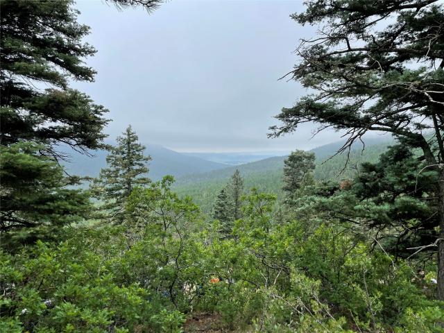 Farm for sale in Mora, New Mexico