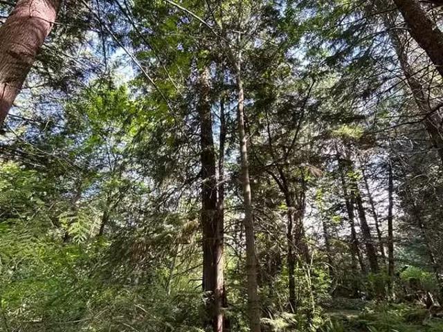 House for sale in Squamish, British Columbia
