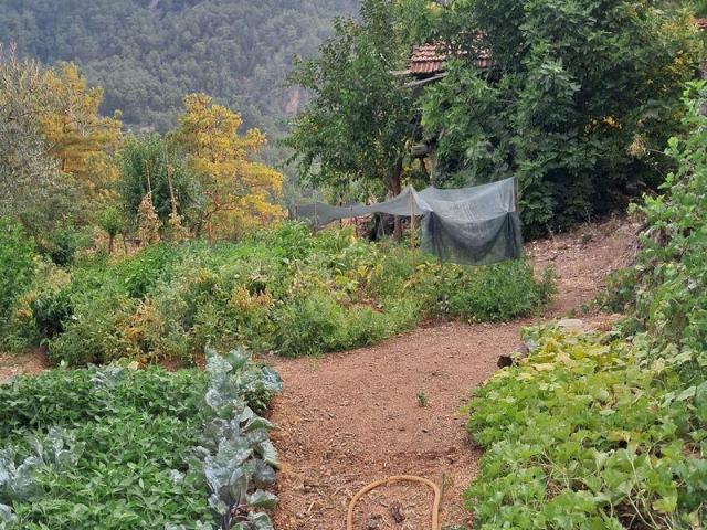 Sarıalan, Dalaman içerisinde satılık Arsa