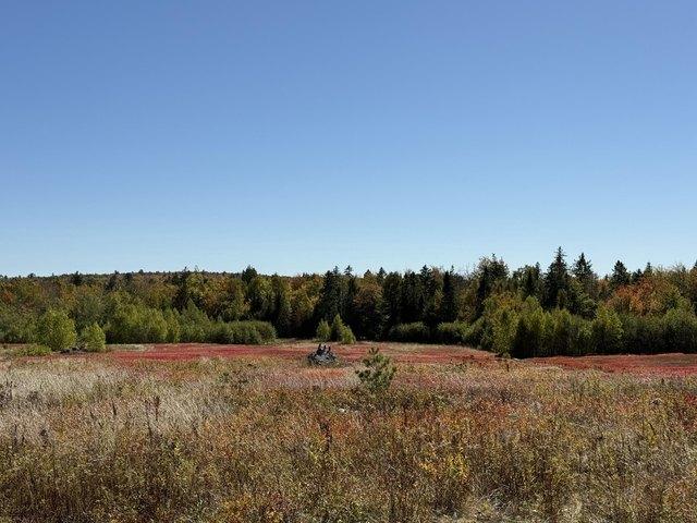 Land for sale in Penobscot, Maine