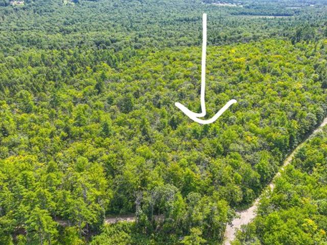 Land for sale in Lovell, Maine