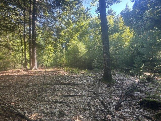 Land for sale in Waldo, Maine