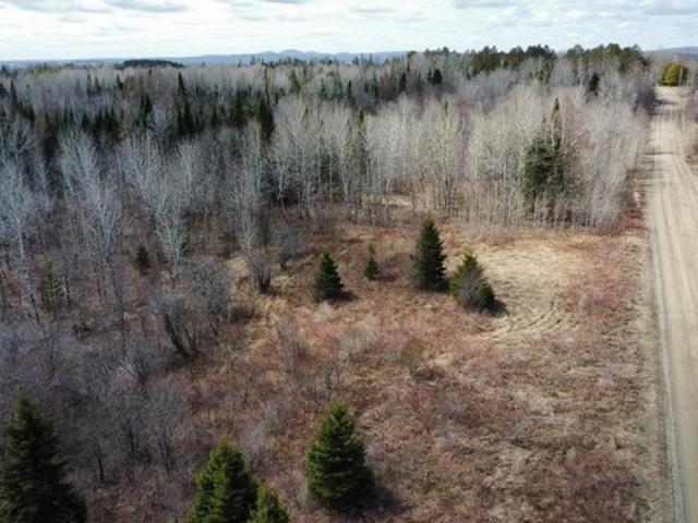 Land for sale in Blaine, Maine