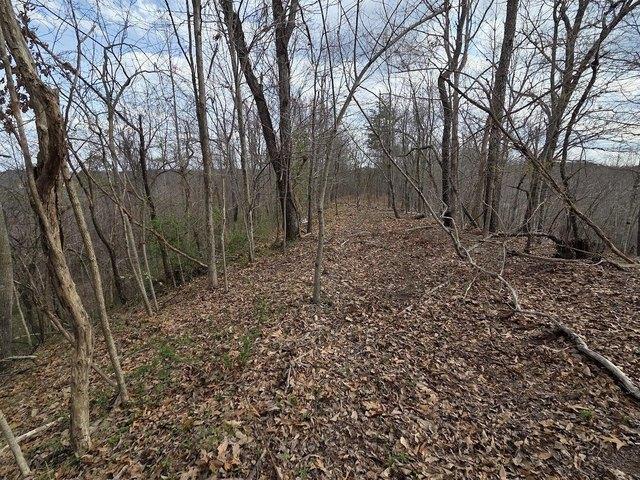Land for sale in Louisa, Kentucky