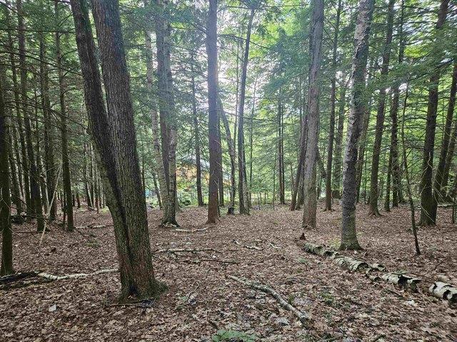 Land for sale in New Hampshire