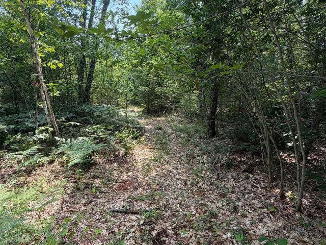 Land for sale in Whittier, Tamworth