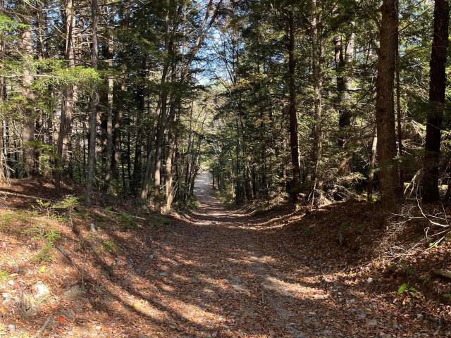 Land for sale in New Hampshire