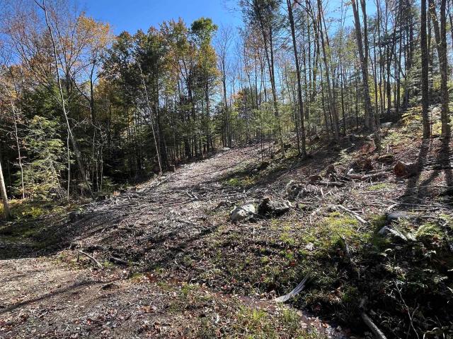 Land for sale in New Hampshire