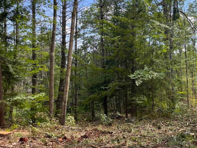 Land for sale in Plainfield, Sullivan County