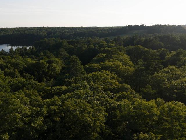 Land for sale in New Hampshire