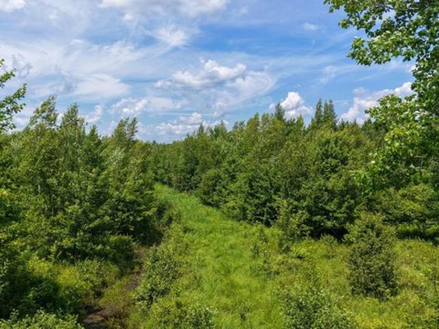 Land for sale in Detroit, Maine