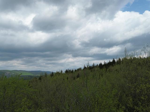 Land for sale in New Hampshire