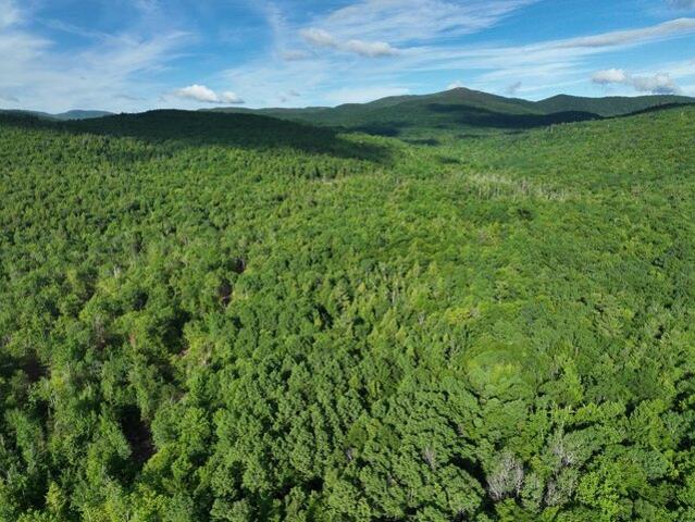 Land for sale in Peru, Maine