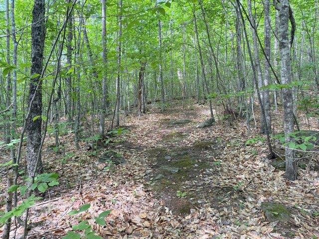 Land for sale in Washington, Maine