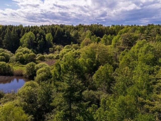 Land for sale in South Thomaston, Maine