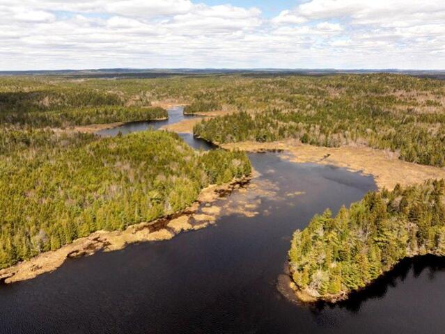 Land for sale in Whiting, Maine