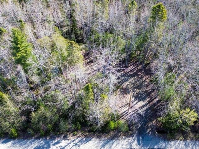 Land for sale in Addison, Maine