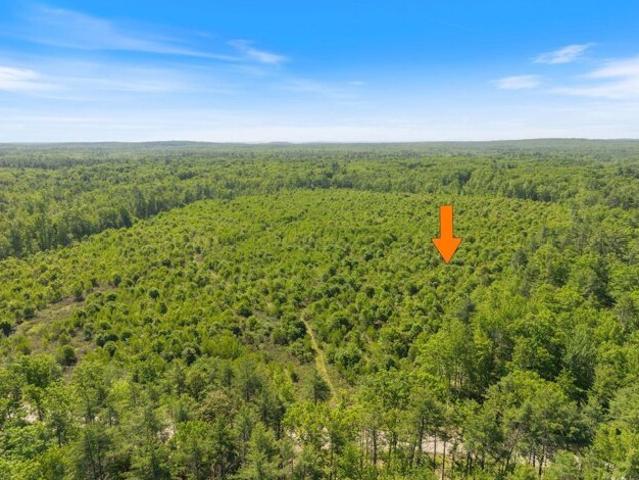 Land for sale in South Hollis, Hollis