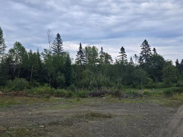 Land for sale in Madawaska, Maine