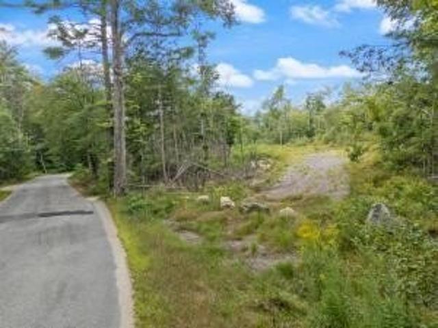Land for sale in Newfield, Maine
