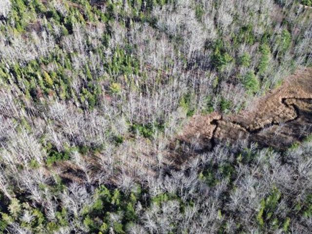 Land for sale in Maine