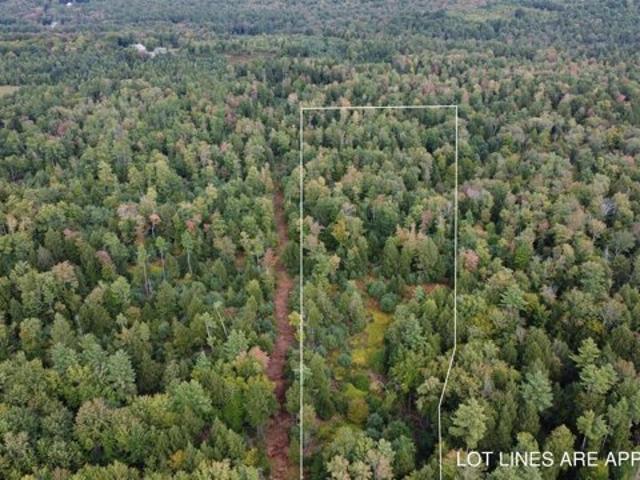 Land for sale in Barnstead, Belknap County